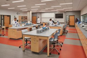 Center for Life Sciences lab space